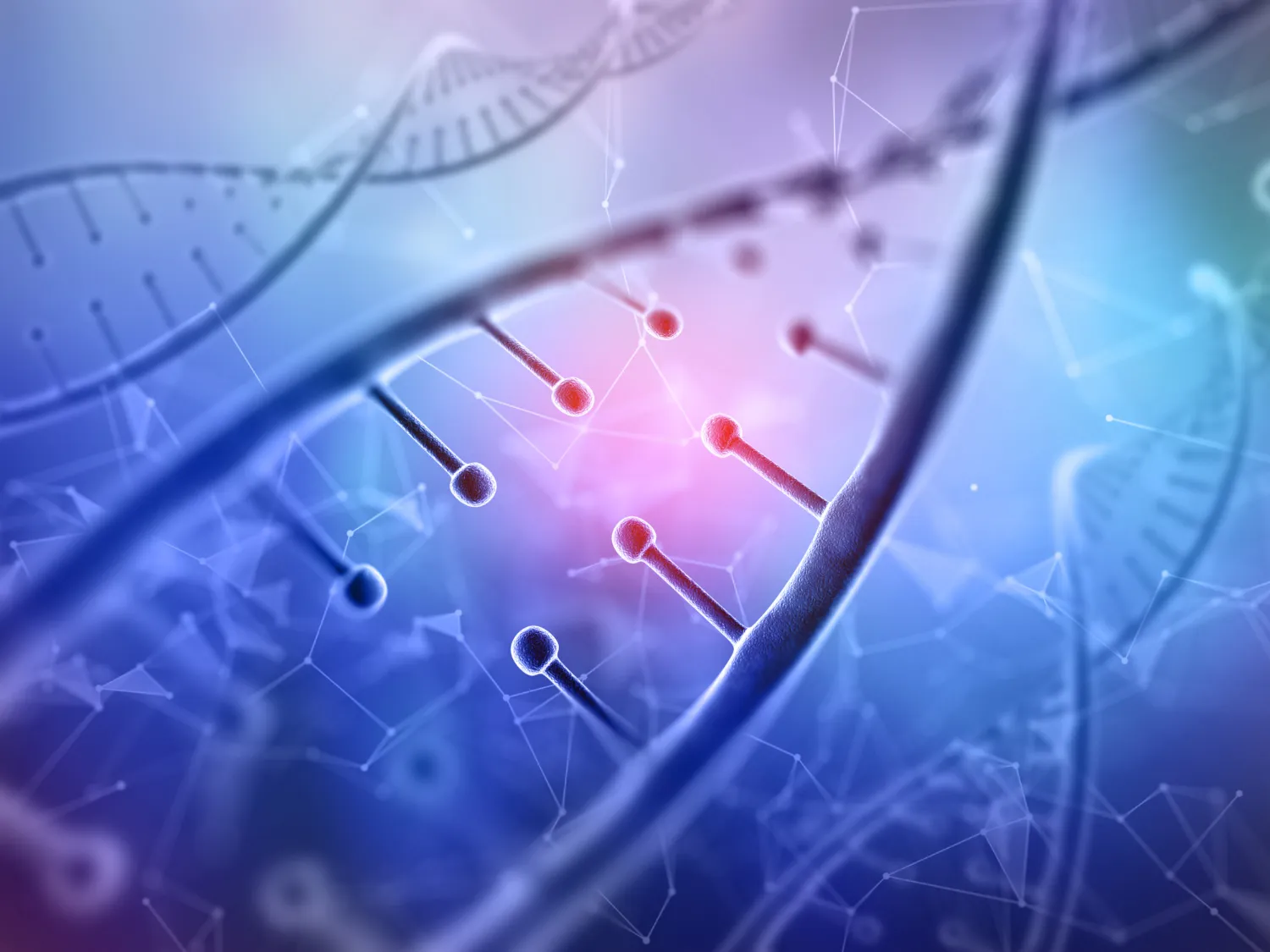 Focus and mood support through methylation education
