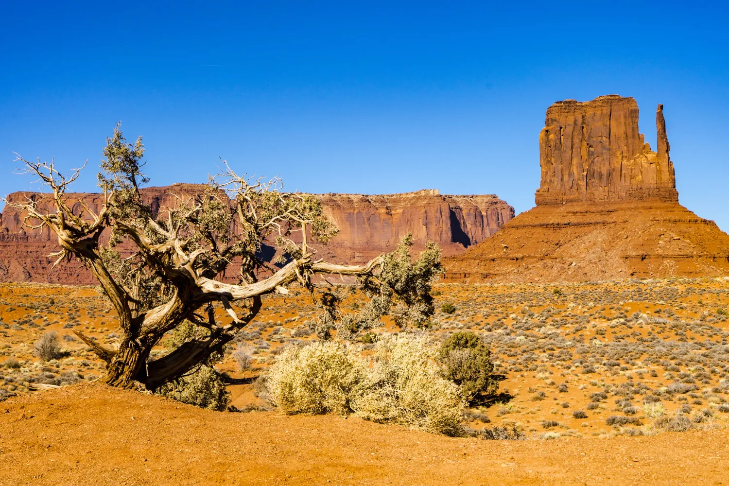 Arizona at-home genetic methylation testing location guide