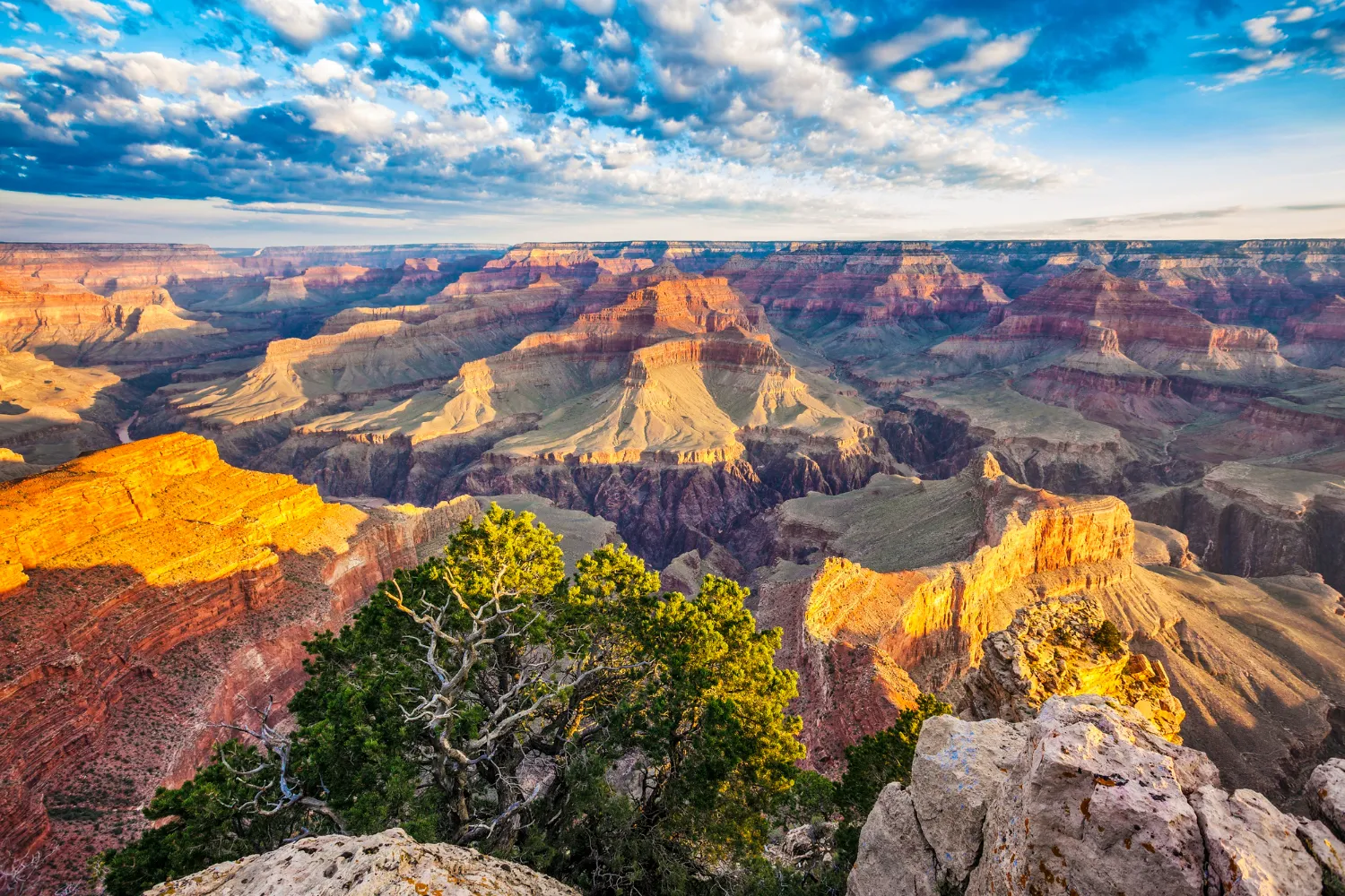 Colorado at-home genetic methylation testing location guide