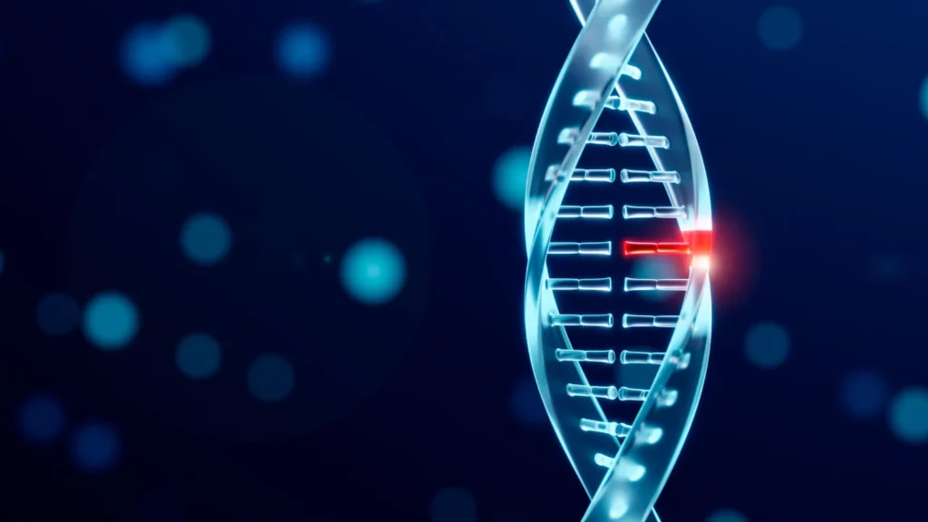 Learn more about folate and methylation