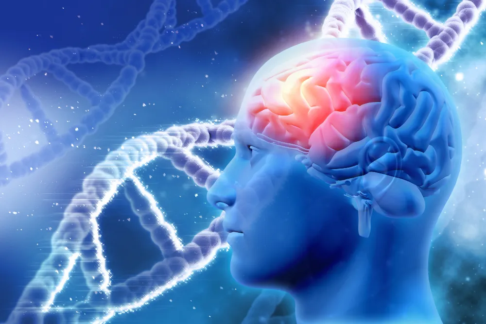 Understanding the COMT Gene: How It Impacts Stress, Focus, and Methylation