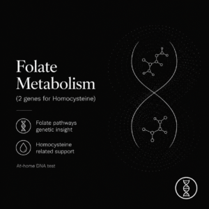 Folate Metabolism 2 genes